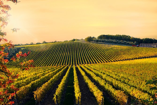 Private Chianti Classico Tour With Wine and Food Tasting in a Historic Estate - Wine Selection and Pairings