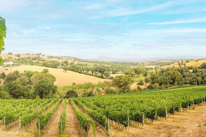 Private Chianti Winery Tour From Livorno With Pick up and Drop off - Pickup Information