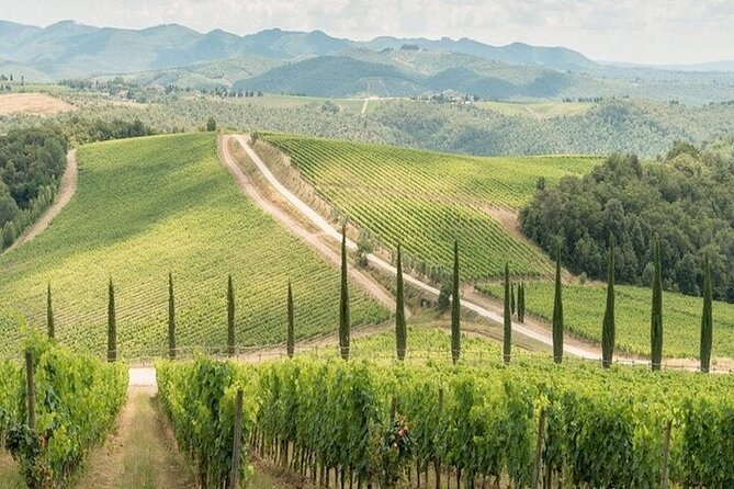 Private Chianti Winery Tour From Livorno With Pick up and Drop off - Accessibility