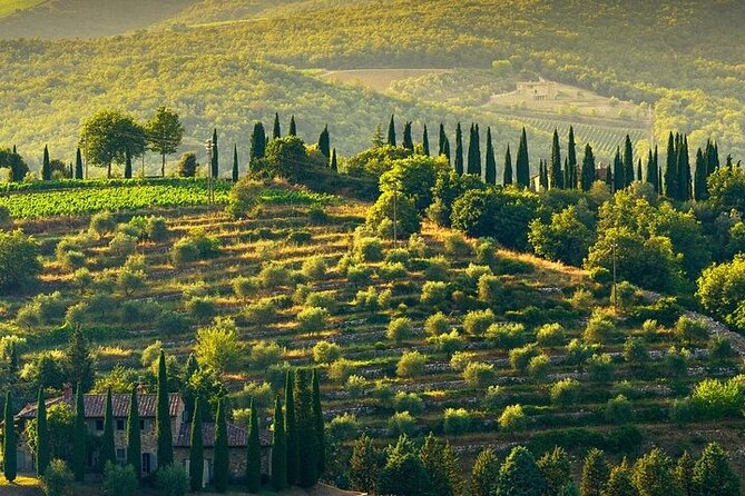 Private Chianti Winery Tour From Livorno With Pick up and Drop off - Frequently Asked Questions