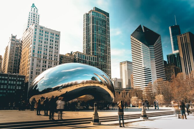 Private Chicago Guided Tour With Hotel Pickup - Tour Accessibility