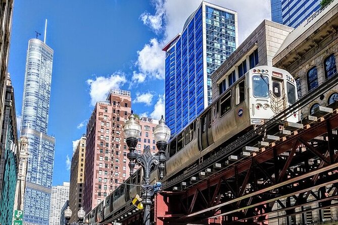 Private Chicago Scenic Driving Tour - Accessibility Information
