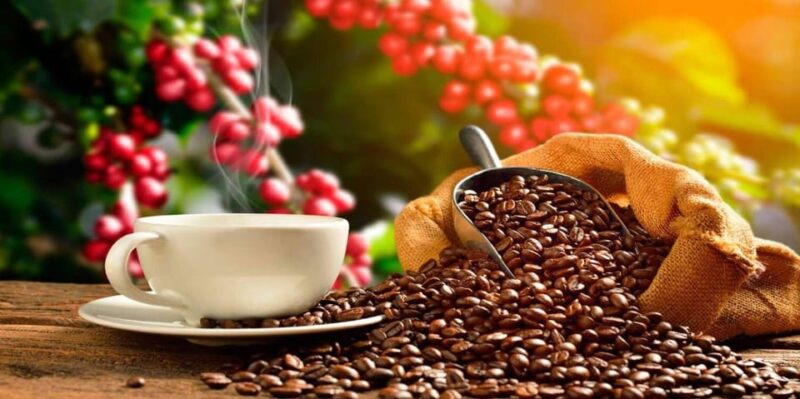 Private Chocolate or Coffee Tour of Huayopata in 2 Days - Key Points