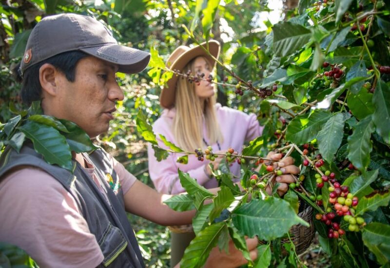 Private Chocolate or Coffee Tour of Huayopata in 2 Days - Itinerary Details