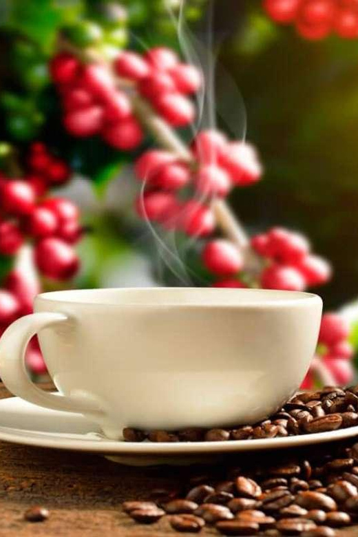 Private Chocolate or Coffee Tour of Huayopata in 2 Days - Included Services