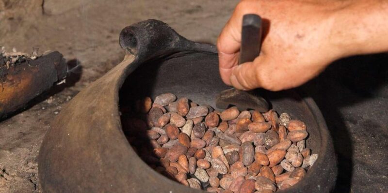 Private Chocolate Tour in Huayopata - Exploring Huayopatas Cocoa Farms