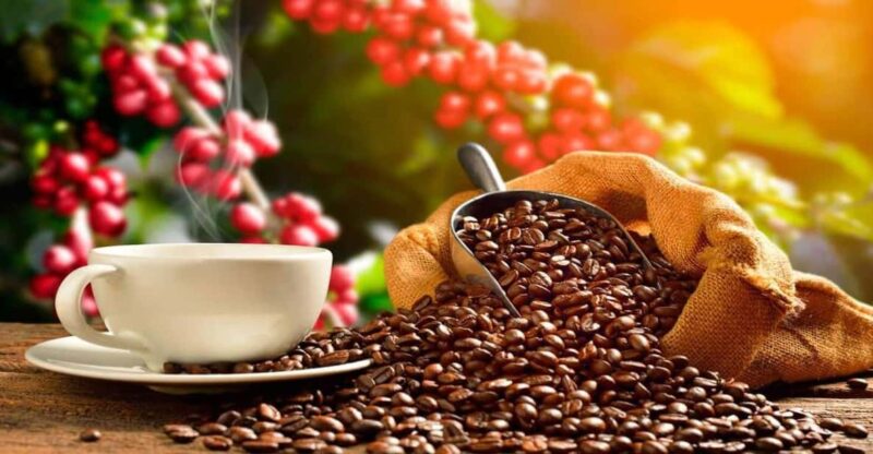 Private Chocolate Tour of Huayopata - Cancellation Policy
