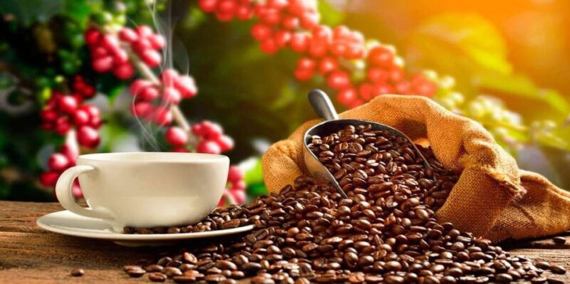 Private Chocolate Tour of Huayopata - Itinerary and Experience