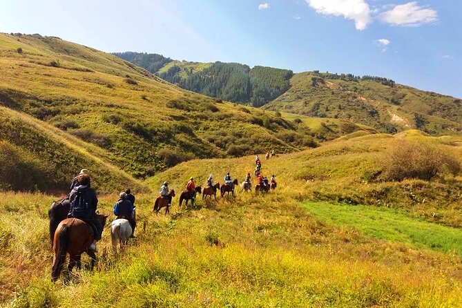 Private Chon Kemin National Park Horseback Riding Tour - Inclusions and Pickup