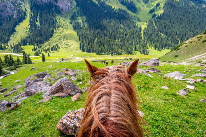 Private Chon Kemin National Park Horseback Riding Tour - Tour Schedule