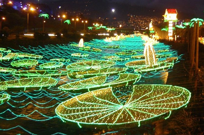 Private Christmas Lights Tour in Medellin - Accessibility and Participation