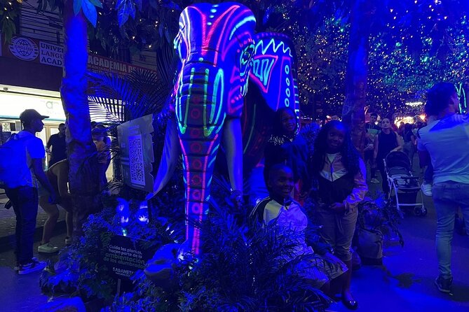 Private Christmas Lights Tour in Medellín! - Only Holiday Season! - Tour Details