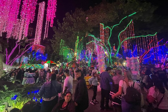 Private Christmas Lights Tour in Medellín! - Only Holiday Season! - Inclusions