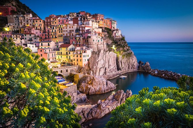 Private Cinque Terre & Pisa Day Trip From the Port of Livorno - Itinerary and Customization