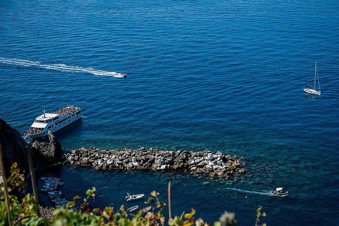 Private Cinque Terre Tour​ From Florence With Optional Hiking - Tour Overview
