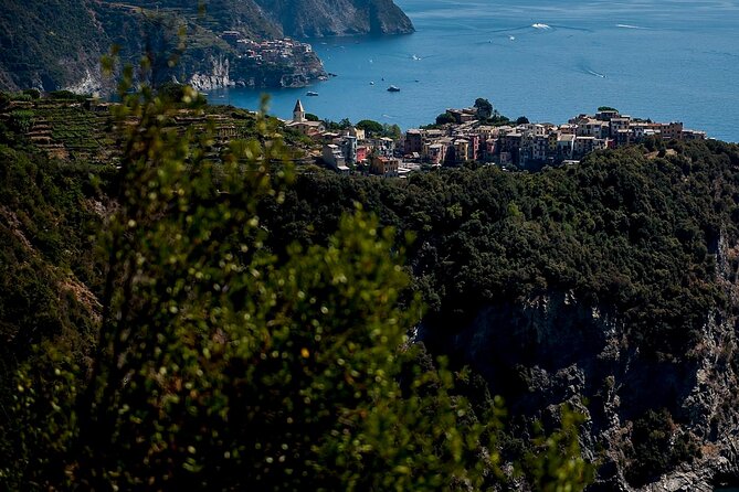 Private Cinque Terre Tour​ From Florence With Optional Hiking - Health and Accessibility