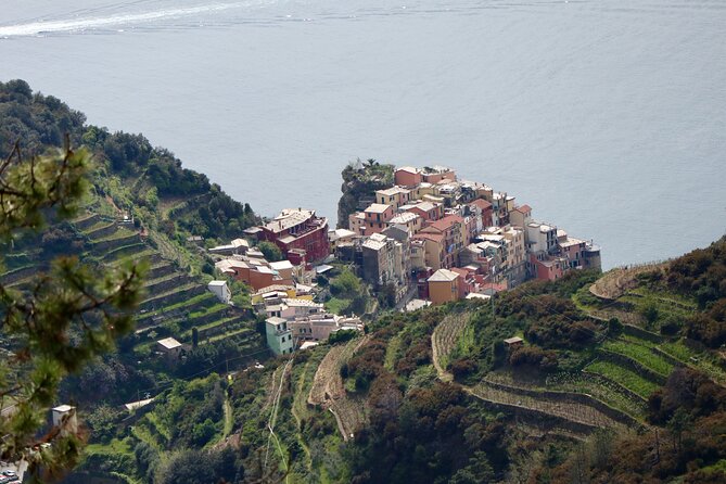 Private Cinque Terre Trek & Tour - Inclusions and Pricing Information