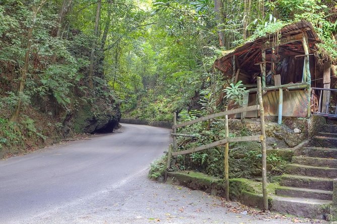 Private City and Scenic Tour From Ocho Rios - About Your Stay