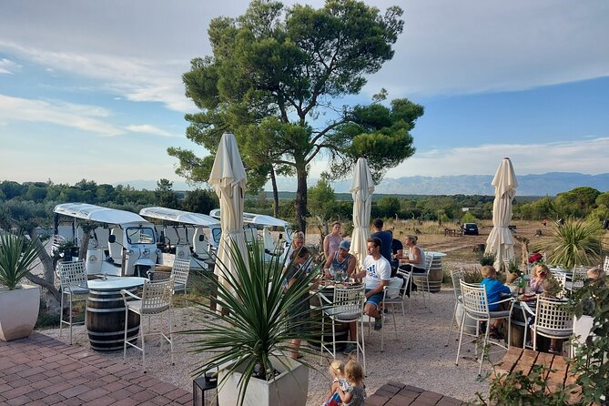 Private City and Wine Tour in Zadar With Eco Tuk Tuk - Practical Details for the Zadar Experience