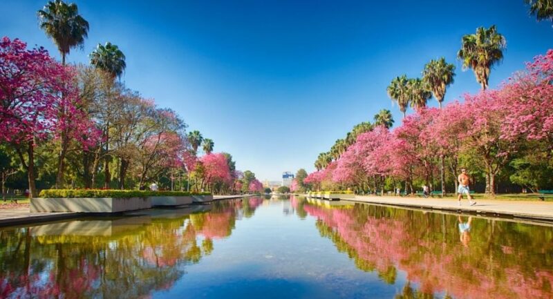 Private City - Porto AlegreTranslated Into English: Private City - Porto Alegre - Farroupilha Palace