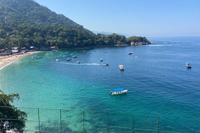 Private City & Rain Forest Xperience in Vallarta - Customer Reviews