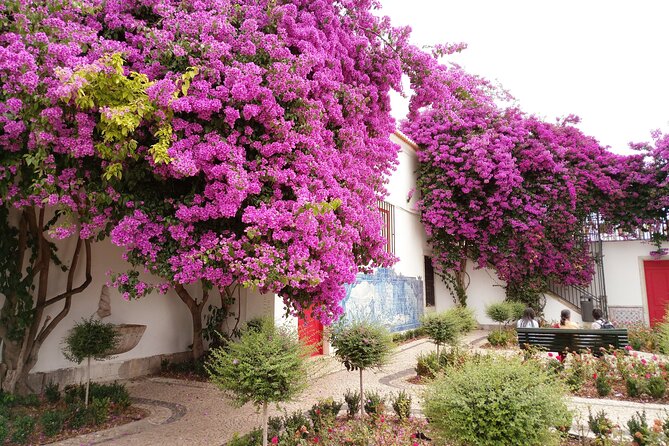 Private City Tour: Highlights of Lisbon - Travel Details