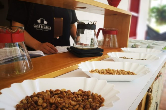 Private City Tour in Bucaramanga and Artisanal Coffee Tasting - Meeting Point and Logistics
