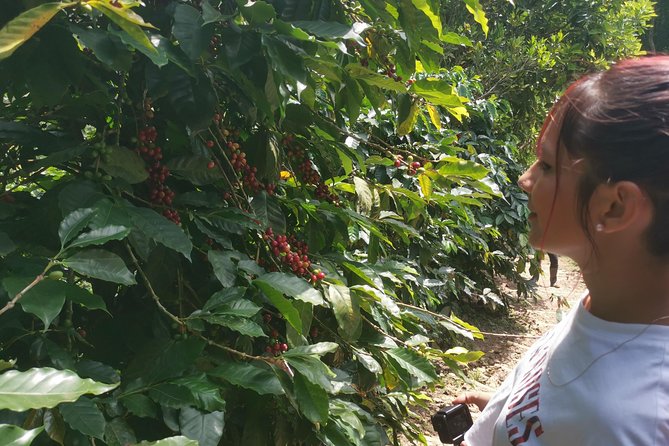 Private City Tour in Bucaramanga and Artisanal Coffee Tasting - Capturing the Experience