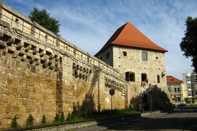 Private City Tour in Cluj-Napoca - Inclusions and Accessibility