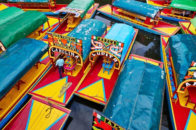 Private City Tour in Frida Kahlo, Coyoacan, and Xochimilco - Key Points