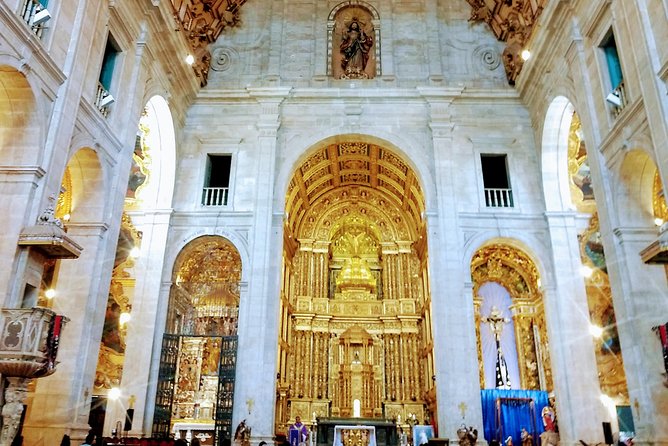 Private City Tour in Salvador - Comfortable Transportation
