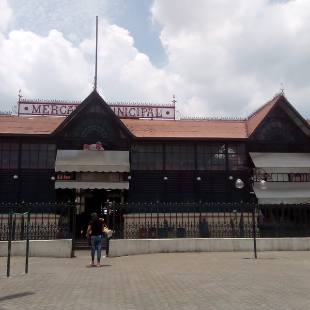 Private City Tour in the Historic Center of Manaus - Pickup and Drop-off Options