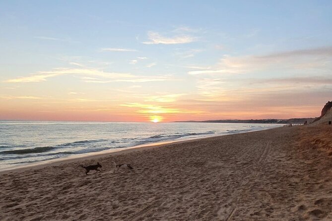 Private City Tour of Albufeira - Highlights of the Tour