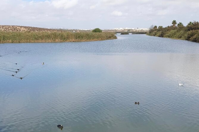 Private City Tour of Albufeira - Top Attractions in Albufeira