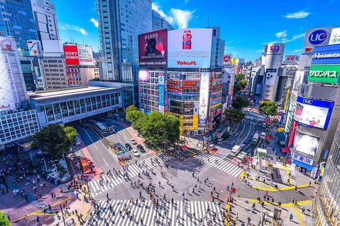 Private City Tour of Tokyo With Chauffeur Driven Car - Highlights of the Tour