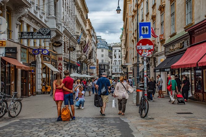 Private City Tour of Vienna With Driver and Guide With Hotel Pick up - Accessibility and Participation