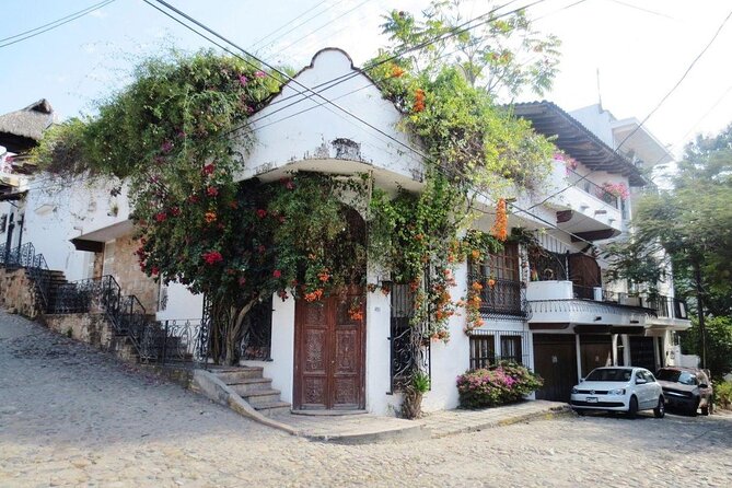 Private City Tour & Rain Forest - Key Points