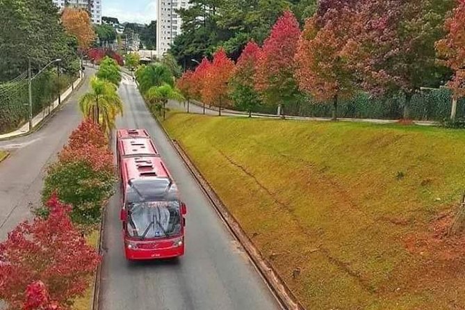 Private City Tour - Top Postcards From Curitiba by Pinheiro Turismo - Getting to Know Curitiba