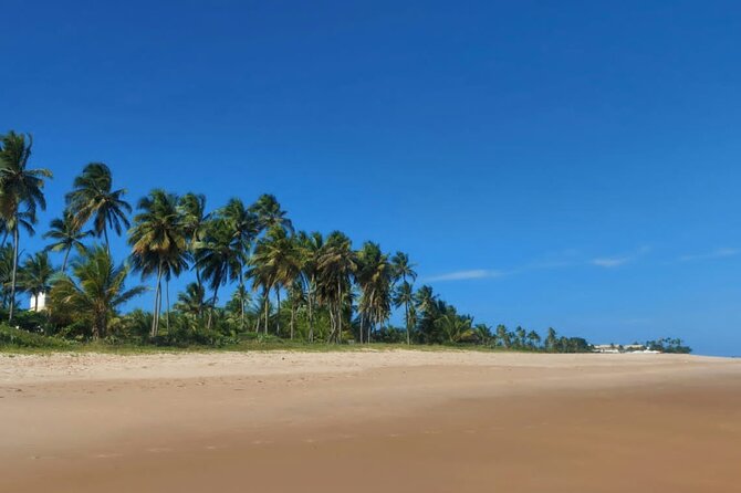 Private City Tour With Beach Stop for Swimming. - Exploring Salvadors Historic Center