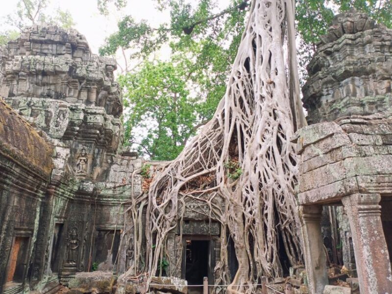 Private Classic Ancient Temple Trip With Five Days - Tour Features