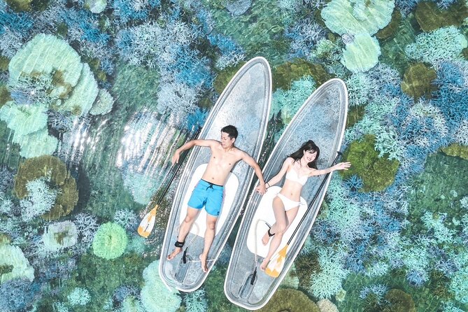[Private] Clear SUP Ride With Drone Photography in Ishigaki Island - Key Points
