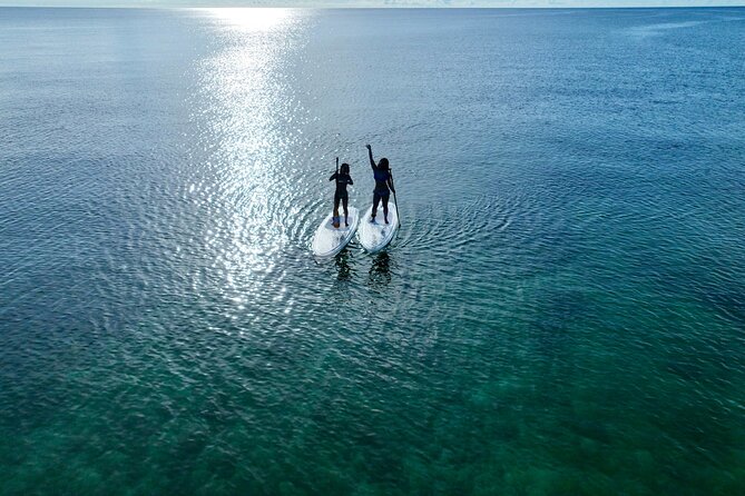 [Private] Clear SUP Ride With Drone Photography in Ishigaki Island - SUP Equipment and Safety