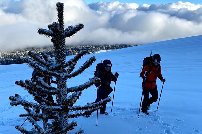 Private Climb to Llaima Volcano - Pickup Information