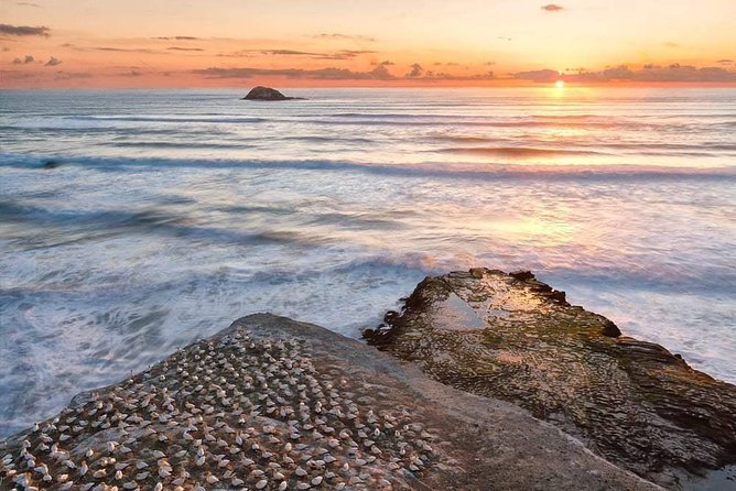 Private Coast to Coast Luxury Eco Tour - Location and Duration