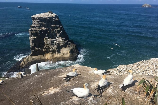 Private Coast to Coast Luxury Eco Tour - Highlights and Experiences
