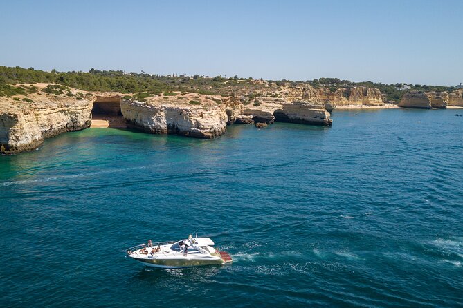 Private Coastline and Dolphins Yacht Cruise From Albufeira - Accessibility and Participation
