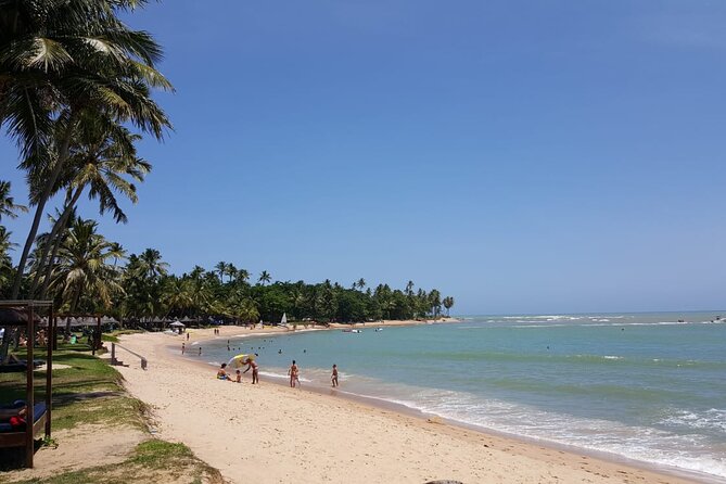 Private Coconut Coast & Praia Do Forte Tour - From Salvador - The Coconut Coast