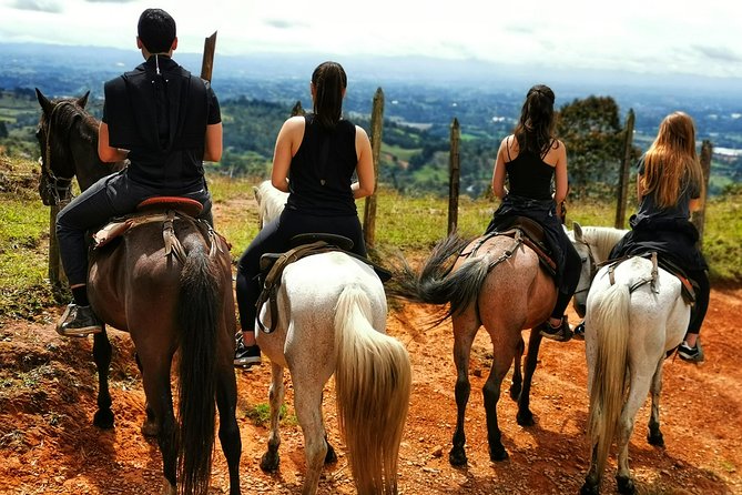Private Coffee Farm & Horseback Riding Tour: All in One Great Day From Medellín - Additional Information