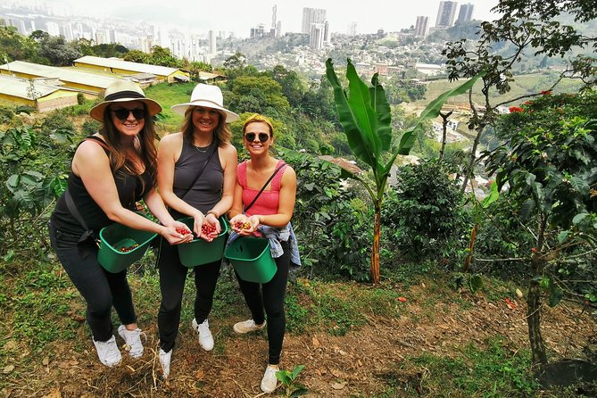 Private Coffee Farm Tour & ATVs: A Super Fun & Educational Day - ATV Adventure