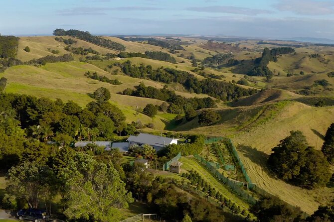Private Coffee Farm Tour in Doubtless Bay - Meeting and Pickup